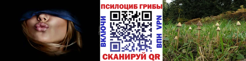 наркошоп  Краснокаменск  Псилоцибиновые грибы мицелий 