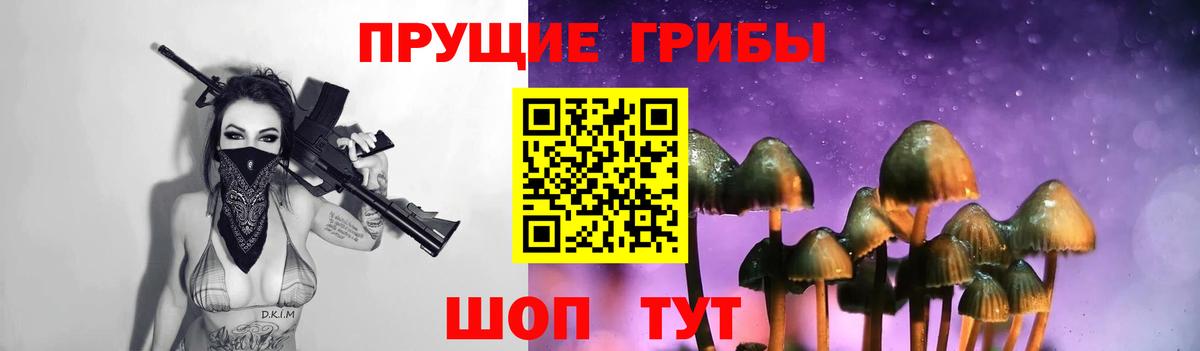 Псилоцибиновые грибы Cubensis Краснокаменск